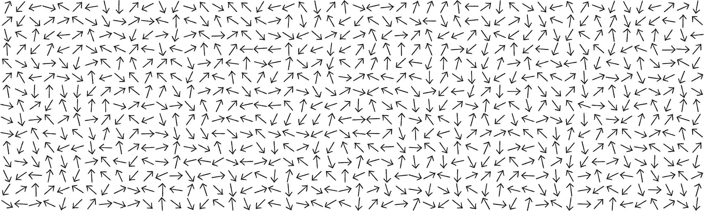 Figure 5.15: A flow field with vectors pointing in random directions